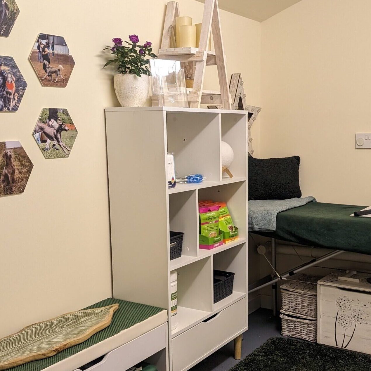 Holistic Haven Essex