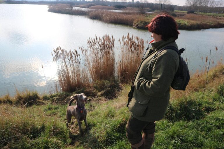 Longhaired Weimaraner dog and owner by lake