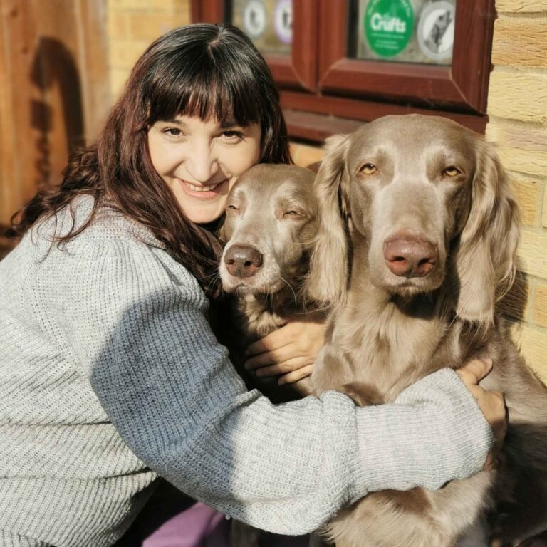 A lady poses cuddling two longhaired Weimaraners