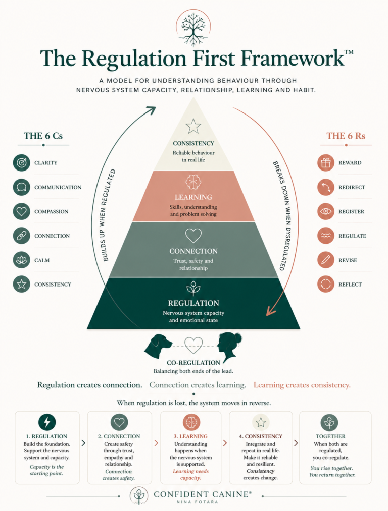 Why I Start With Regulation